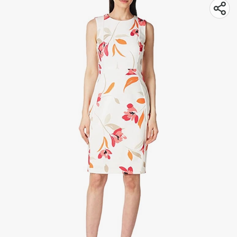 Calvin Klein Women's Sleeveless Princess Seamed Sheath Dress. Size 2